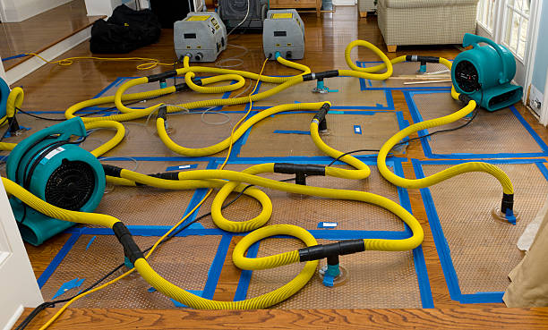 Professional Sewage Cleanup technician working in Sewaren, NJ
